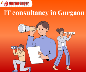 Consultancy in gurgaon