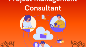 Project Management Consultant