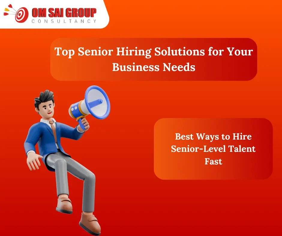 Senior level hiring solutions