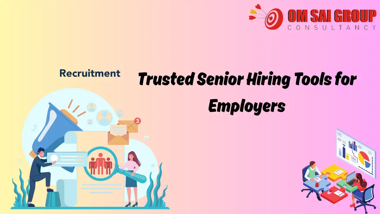 Senior level hiring solutions