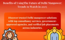 delhi manpower