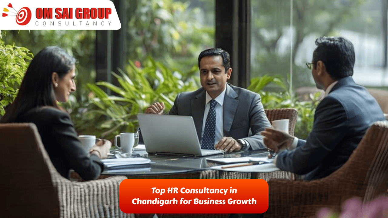 consultancy in chandigarh