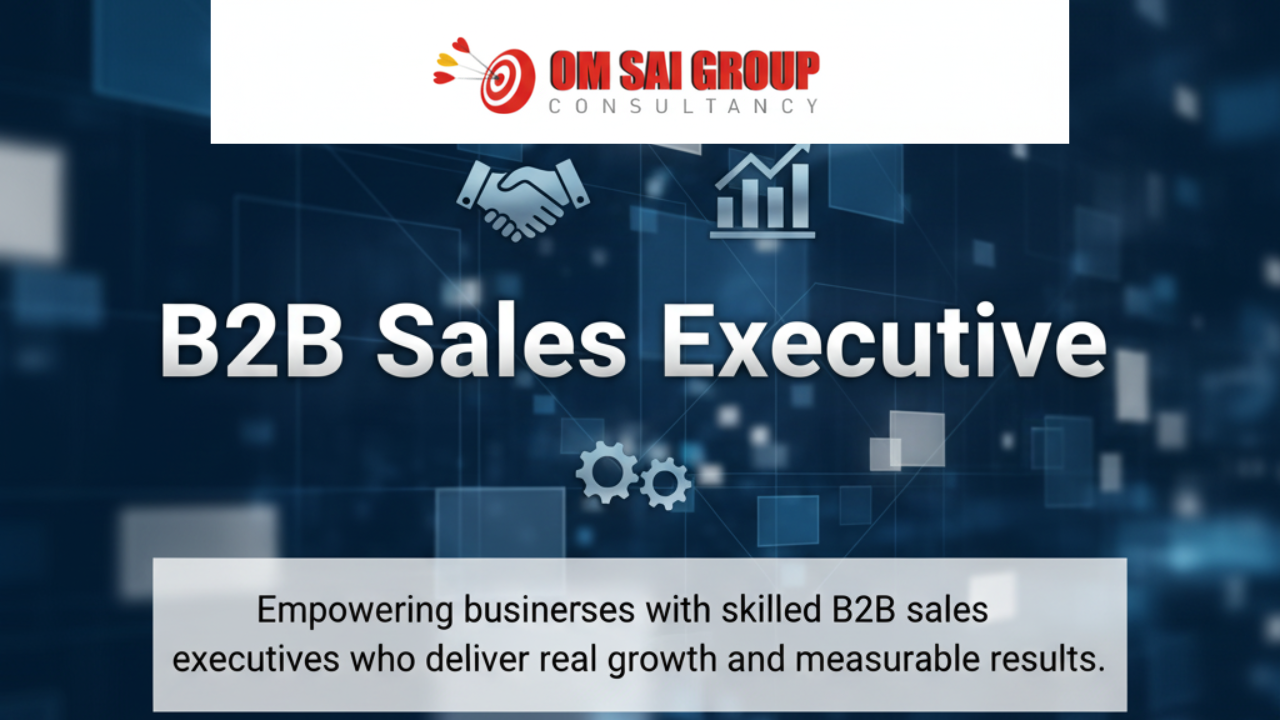 B2B Sales Executive 1