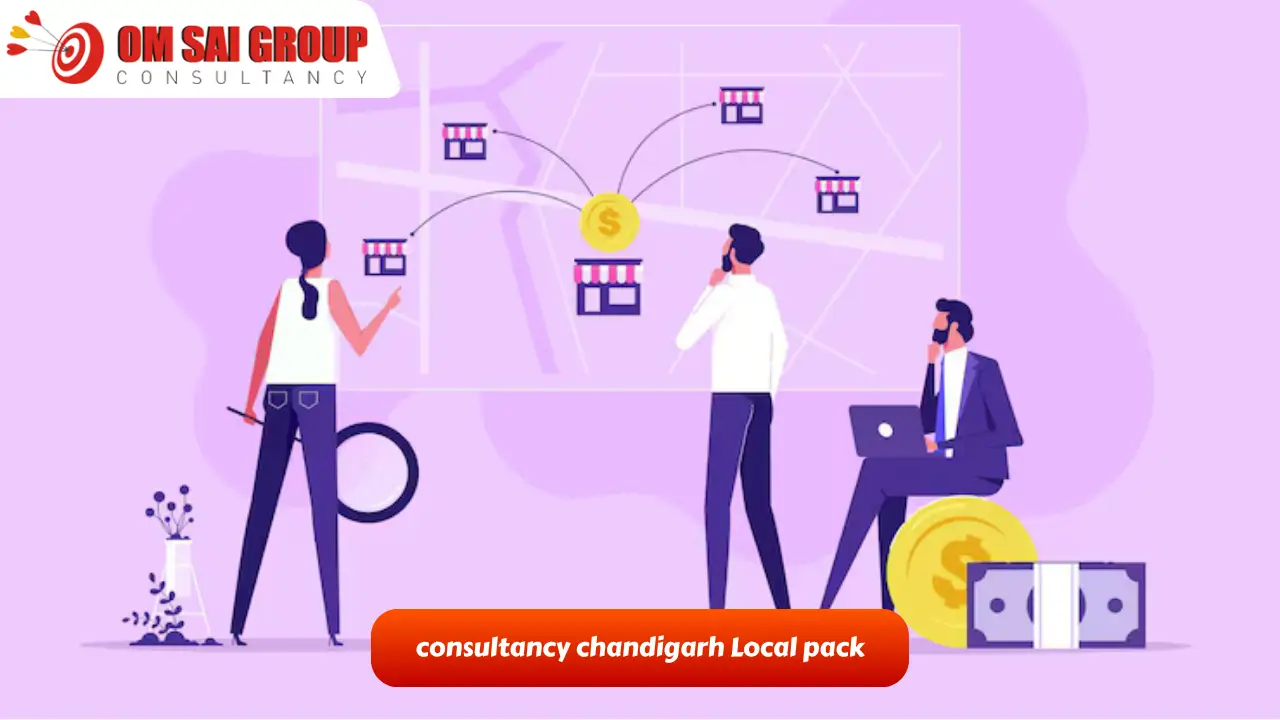 consultancy chandigarh Local pack